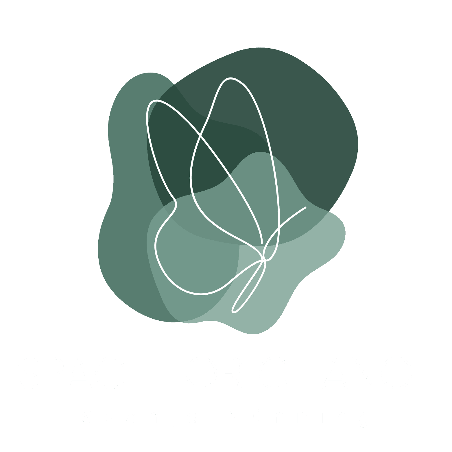Logo von Space for Change mit Schmetterlingsmotiv.